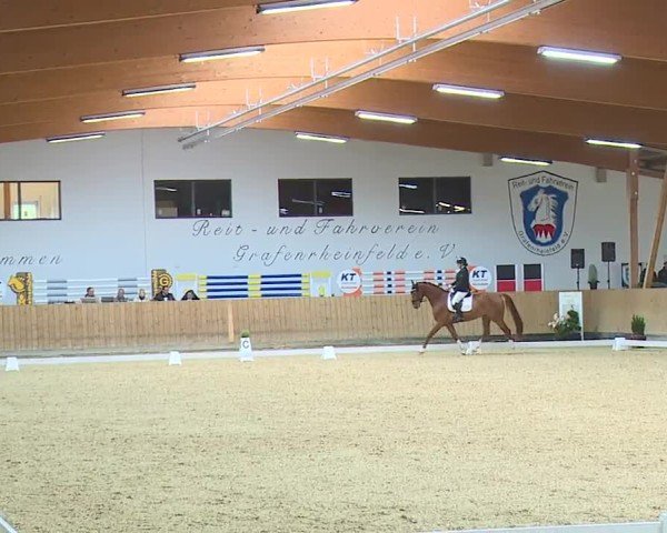 Reitturnier Grafenrheinfeld/Ufr. 2024