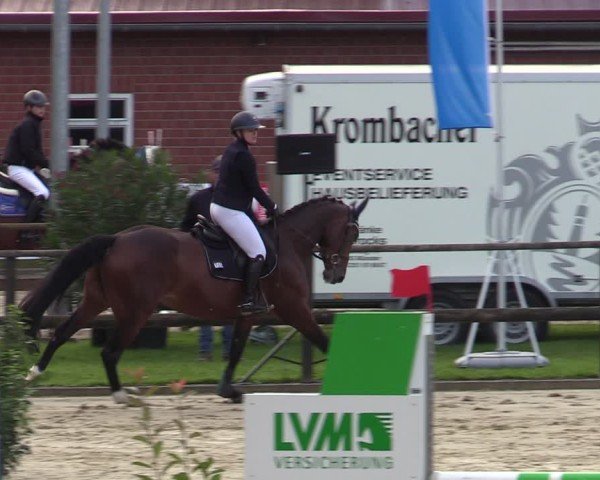 Reitturnier Albersloh 2024