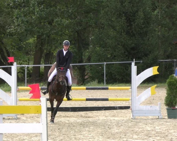Reitturnier Bad Liebenstein/Sorga 2024