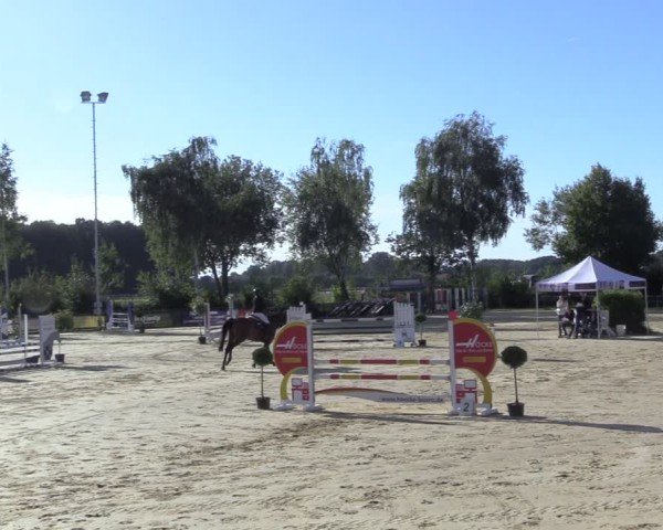 Reitturnier Seppenrade 2024