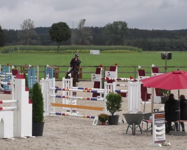 Reitturnier Honsolgen-Buchloe/Schw. 2024