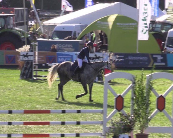 Reitturnier Mühlengeez 2024