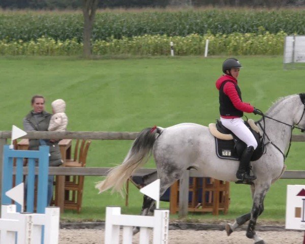 Reitturnier Honsolgen-Buchloe/Schw. 2024