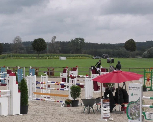 Reitturnier Honsolgen-Buchloe/Schw. 2024