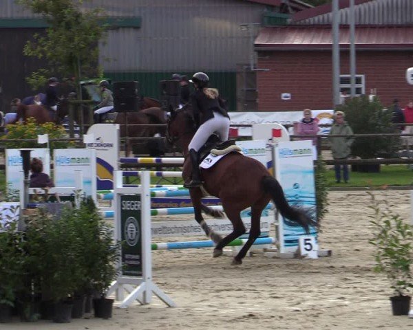 Reitturnier Albersloh 2024