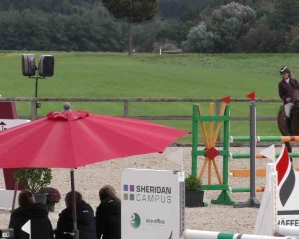 Reitturnier Honsolgen-Buchloe/Schw. 2024