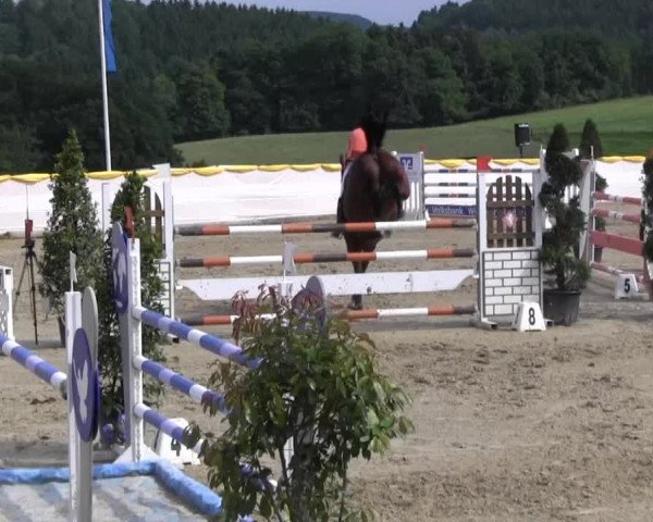 Lindlar Süttenbach 2013