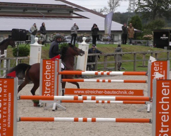 Reitturnier Honsolgen-Buchloe/Schw. 2024
