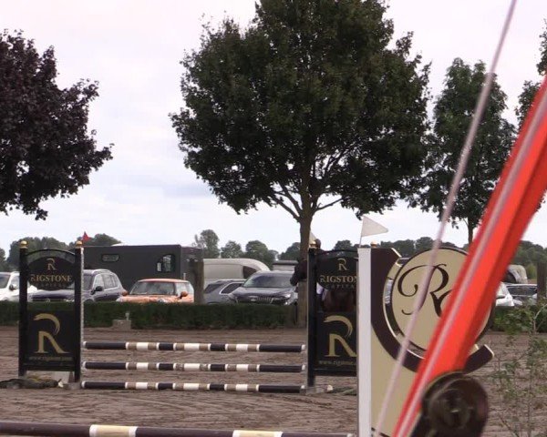 Reitturnier Lentzke - Reitanlage Krehl 2024