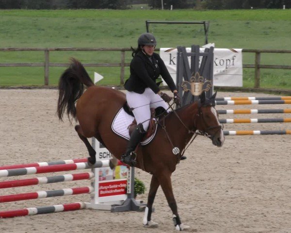 Reitturnier Honsolgen-Buchloe/Schw. 2024