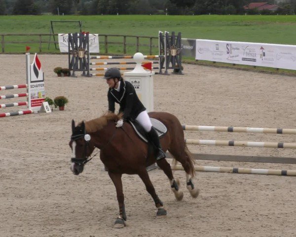 Reitturnier Honsolgen-Buchloe/Schw. 2024