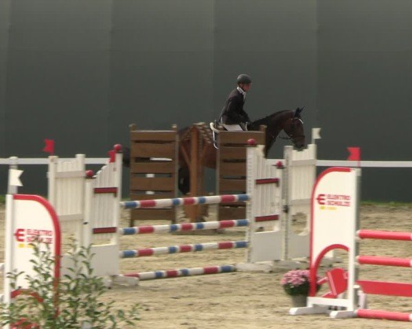 Reitturnier Bad Schmiedeberg 2024
