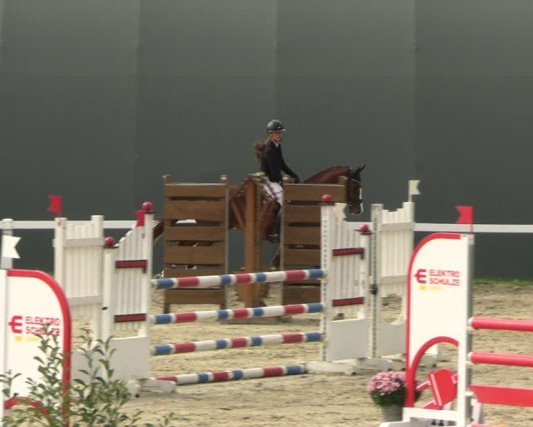 Reitturnier Bad Schmiedeberg 2024