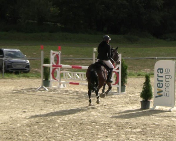 Reitturnier Bad Liebenstein/Sorga 2024