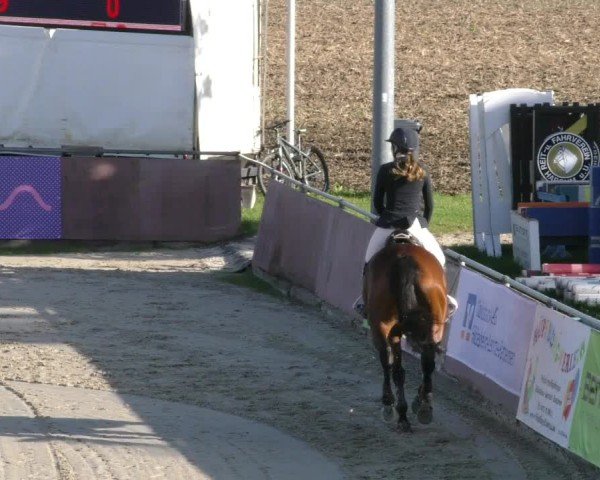 Reitturnier Harsum-Hüddessum 2024