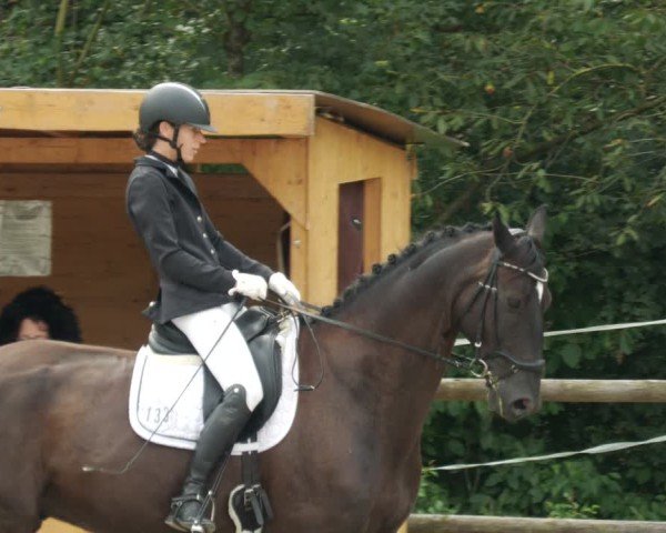 Reitturnier Ditzingen 2024