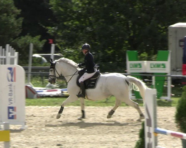 Reitturnier Bad Liebenstein/Sorga 2024