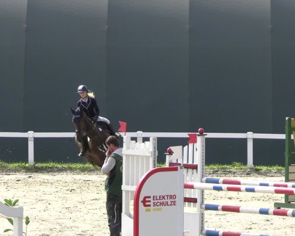 Reitturnier Bad Schmiedeberg 2024