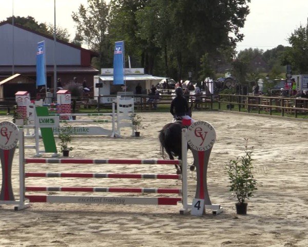 Reitturnier Albersloh 2024