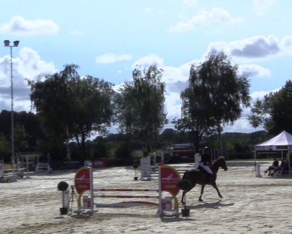Reitturnier Seppenrade 2024
