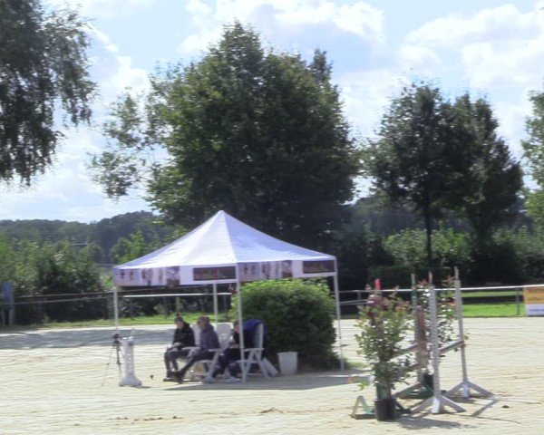 Reitturnier Seppenrade 2024