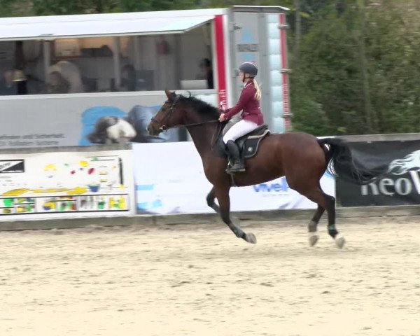 Pferdesporttage Neuendorf SO 2021