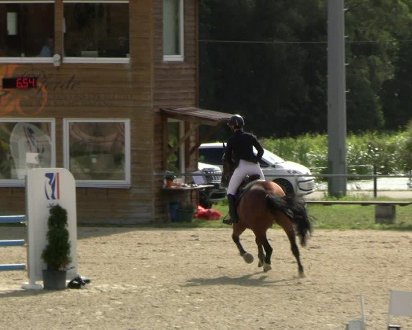 Reitturnier Bad Liebenstein/Sorga 2024