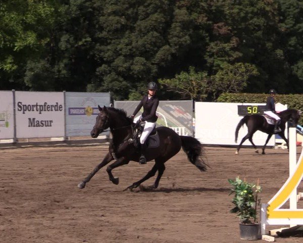 Reitturnier Lentzke - Reitanlage Krehl 2024