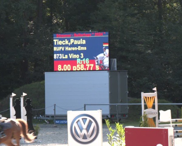 Reitturnier Dörpen 2024