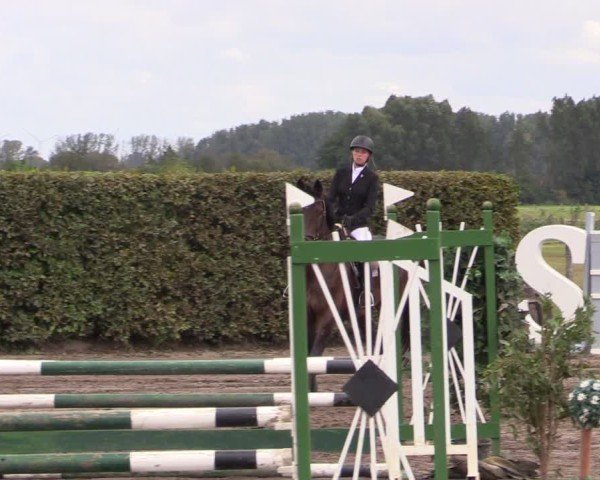 Reitturnier Lentzke - Reitanlage Krehl 2024