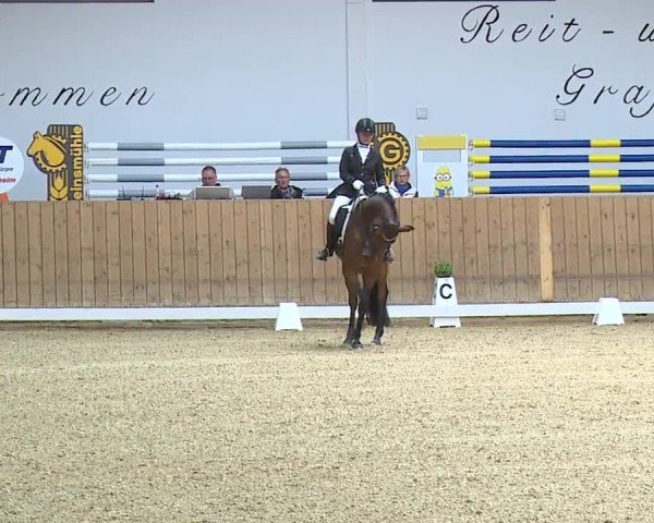 Reitturnier Grafenrheinfeld/Ufr. 2024