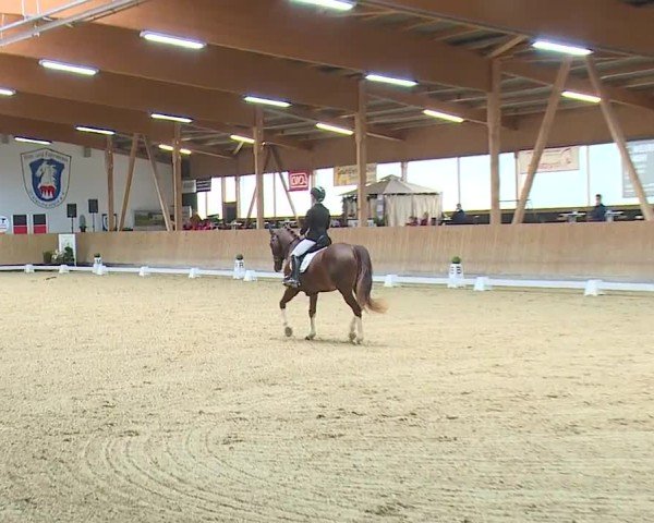 Reitturnier Grafenrheinfeld/Ufr. 2024