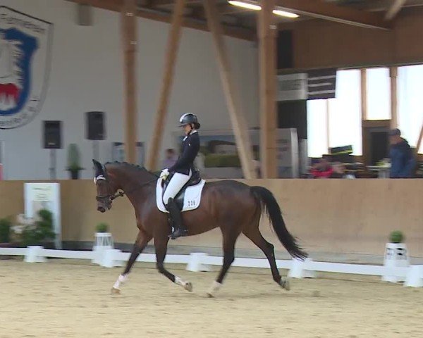 Reitturnier Grafenrheinfeld/Ufr. 2024