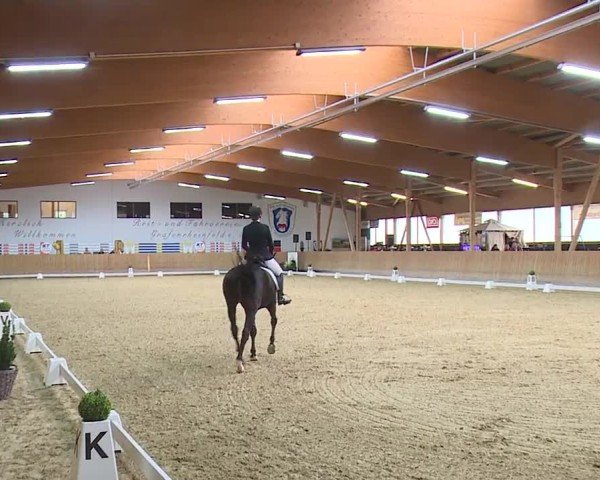 Reitturnier Grafenrheinfeld/Ufr. 2024