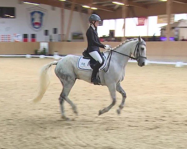 Reitturnier Grafenrheinfeld/Ufr. 2024