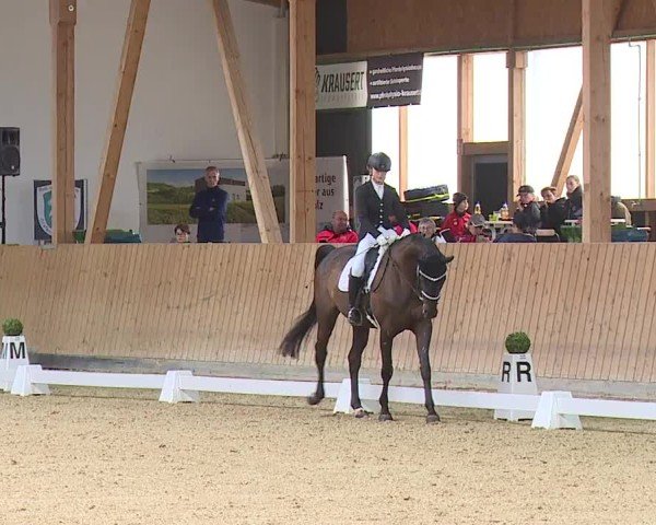 Reitturnier Grafenrheinfeld/Ufr. 2024
