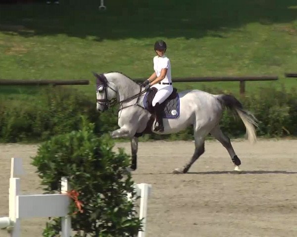 Landeschampionat Baden-Württemberg 2013