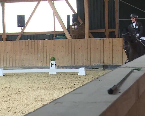 Reitturnier Grafenrheinfeld/Ufr. 2024