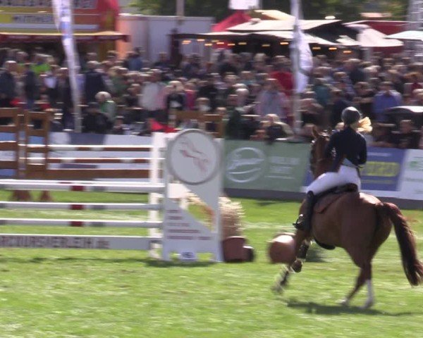 Reitturnier Mühlengeez 2024