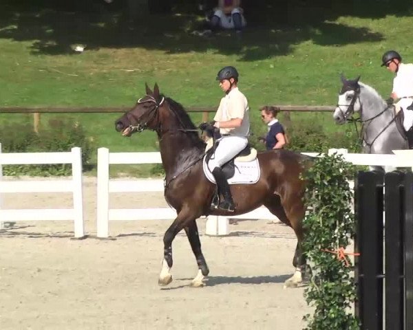 Landeschampionat Baden-Württemberg 2013