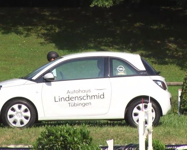 Landeschampionat Baden-Württemberg 2013