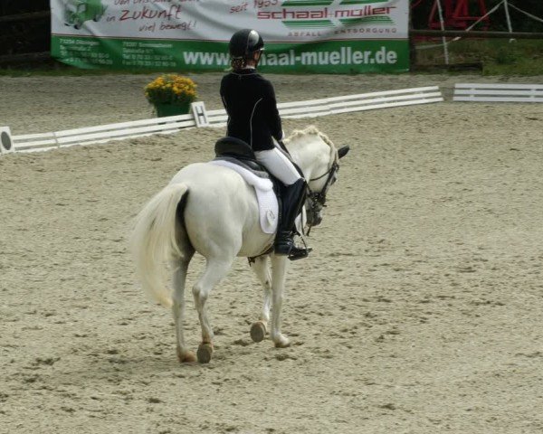 Reitturnier Ditzingen 2024