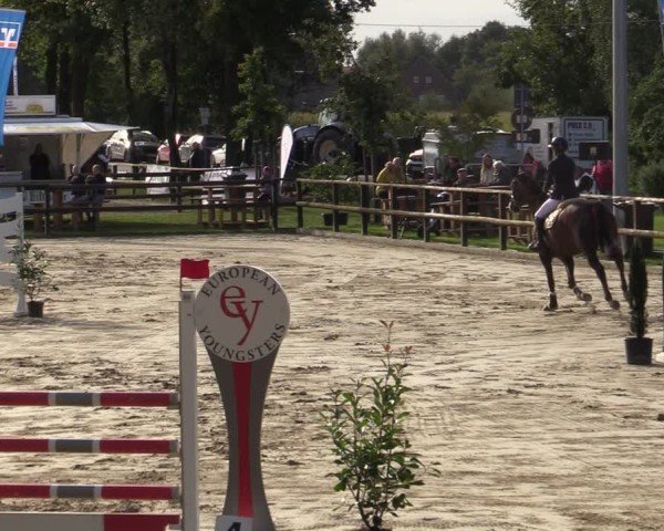 Reitturnier Albersloh 2024
