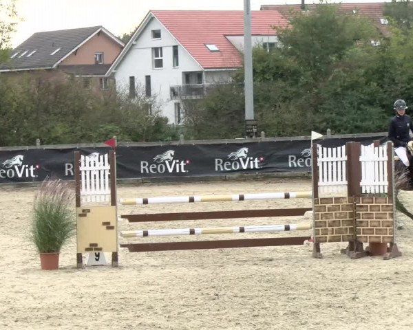 Pferdesporttage Neuendorf SO 2021