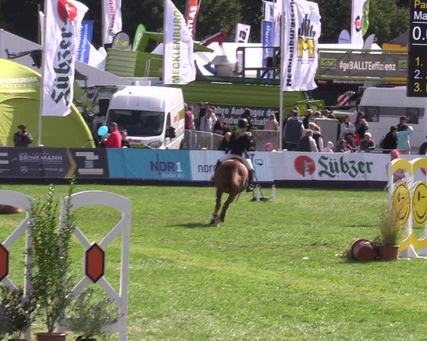 Reitturnier Mühlengeez 2024