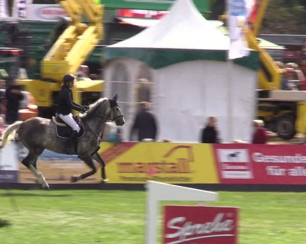 Reitturnier Mühlengeez 2024