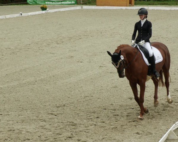 Reitturnier Ditzingen 2024