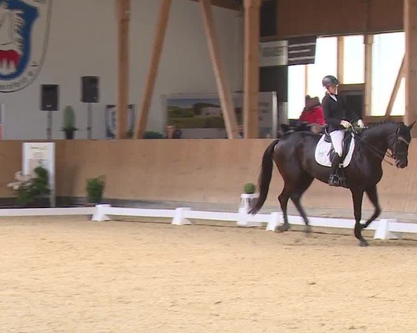 Reitturnier Grafenrheinfeld/Ufr. 2024