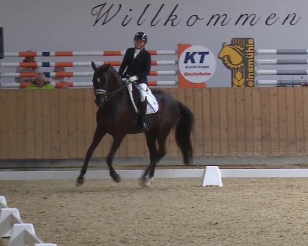 Reitturnier Grafenrheinfeld/Ufr. 2024
