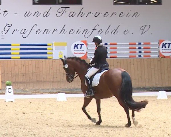 Reitturnier Grafenrheinfeld/Ufr. 2024